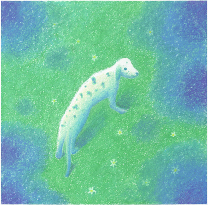 ���ʂ̃C���X�g